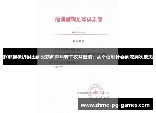 赵鹏现象折射出的欠薪问题与劳工权益困境：从个体到社会的深层次反思